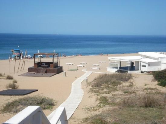 Bikini beach punta del este uruguay